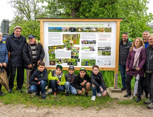 Naturpark Mittelschule Schörfling