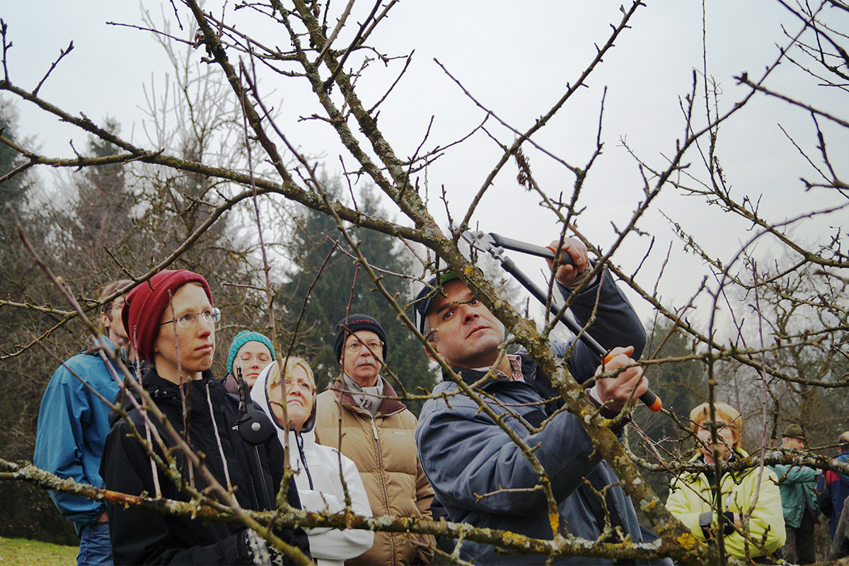 Obstbaumschnittkurs