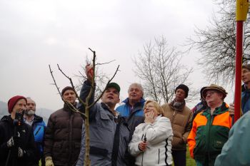 Obstbaumschnittkurs Obstbaumschnittkurs