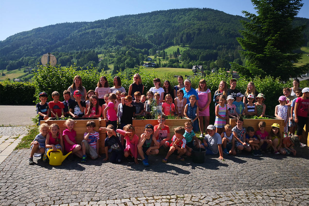 Wildkräuterbeete VS Neukirchen